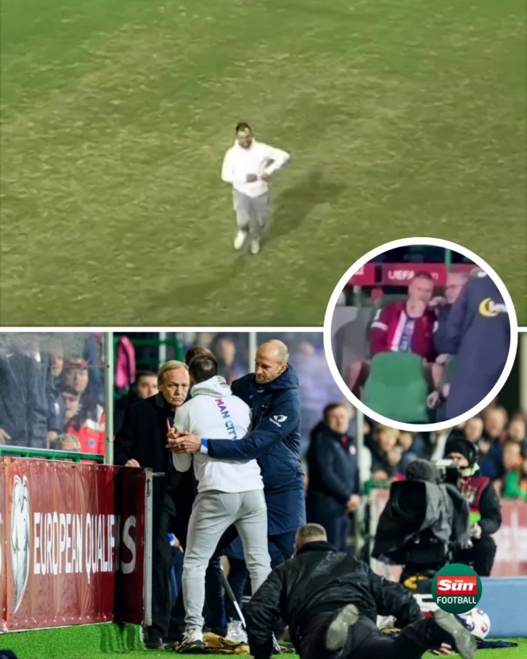 太陽報:在挪威和摩爾多瓦的比賽中,一球迷試圖沖入球場找哈蘭德