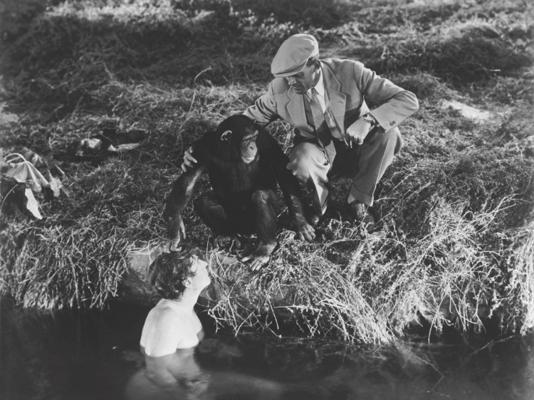 引發爭議！葡媒：南美足協主席將巴西球隊比作人猿泰山的猩猩伙伴